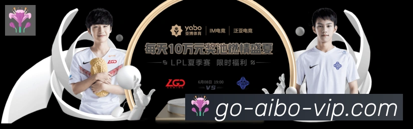 战术分析频道